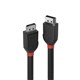 CABLE LINDY 1M DDP DISPLAY PORT 12 CABLE BL