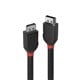 CABLE LINDY 2M DDP DISPLAY PORT 12 CABLE BL