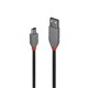CABLE USB LINDY 02M USB2 AMINIB ANTHRA LINE