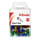 PINS CHART ESSELTE ASSTD PK50