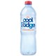 BOTTLED SPRING WATER 600ML COOL RIDGE CTN24