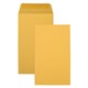 ENVELOPE SEED NO7 145X90MM MS GOLD BX500