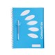 NOTEBOOK SPIRAL COLOURHIDE 1719601H A4 5 SUBJECT 250PG BLUE