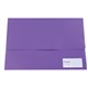 DOCUMENT WALLET PROTEXT NP9732 WITH VELCRO FC PURPLE