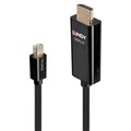 CABLE LINDY 2M ACTIVE DPHDMI DISPLAY PORTHDMI CABLE