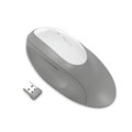 MOUSE KENSINGTON K75405WW DUAL WIRELESS ERGO GREY