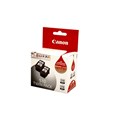 CART IJ CANON PG510 BLACK TWIN PACK
