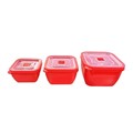 CONTAINER CONNOISSEUR 4200033 MICROWAVE SAFE PK3