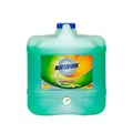 DISHWASHING LIQUID NORTHFORK 15L