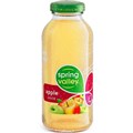 JUICE SPRING VALLEY 250ML BOTTLE APPLE