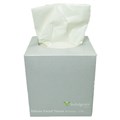 TISSUE FACIAL INDULGENCE FT90 PREMIUM 2PLY 90 SHEETSCUBE