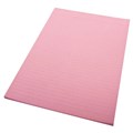 PAD QUILL 01012 BANK A4 70 LEAF RULED PINK PK10