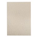 PAPER COLOURFUL DAYS PARCHMENT CLBPIV A4 100GSM IVORY PK25