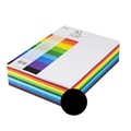 PAPER COVER JASART 0329750 A3 125GSM BLACK PK500