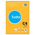 ENVELOPE TUDOR C4 229X324MM PS POCKET KRAFT PK50