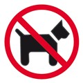 SIGN APLI 900434 SELF ADHESIVE NO DOGS ALLOWED