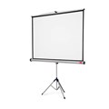 SCREEN TRIPOD NOBO 1902396W 1750X1150MM 1610