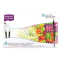 PENCILS COLOURED DERWENT ACADEMY 2300225 ASSTD PK36