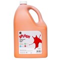 PAINT ACRYLIC SPLASH 5L TANGY ORANGE