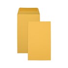 Seed Pocket Envelopes