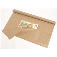 Paper Rolls  Dispensers