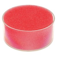Sponge Bowl