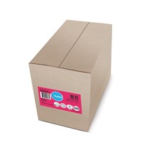 B5 250X175mm Envelopes