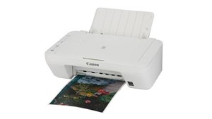 CANON PIXMA MG2960